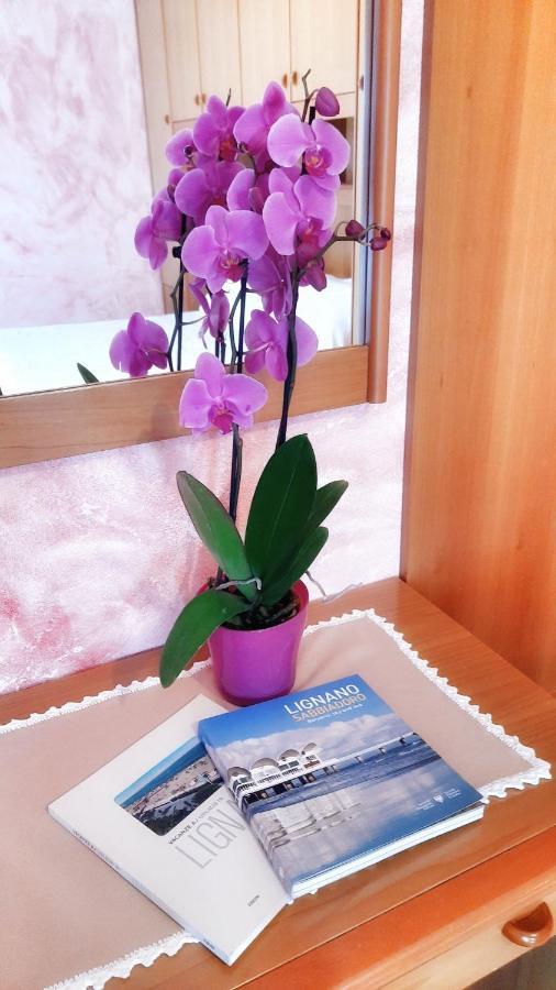 Hotel & Wellness Fra I Pini リニャーノ・サッビアドーロ エクステリア 写真